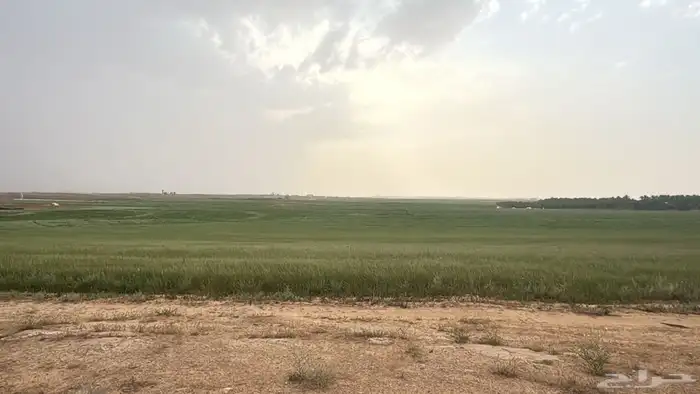 مزرعه شمال الفويلق للبيع 14