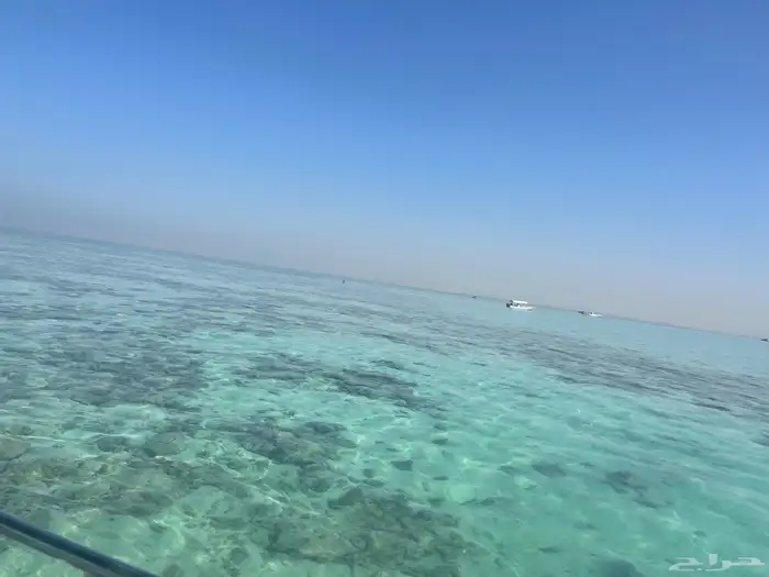 رحلات بحريه ورحلات جزيره بياضه شباب وعوائل جده ابحر 6