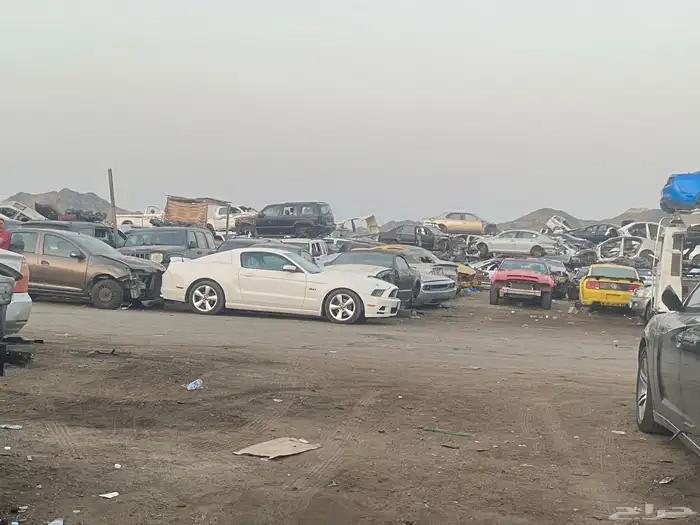 تشليح موستنج -كابرس-ارمادا-دودج 9