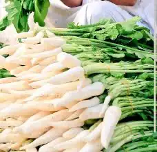 بذور الفجل الابيض (البقل) 1