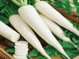 بذور الفجل الابيض (البقل) 0