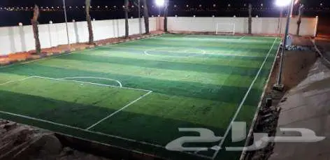 ثيل طبيعي ياباني انتورو سي ألفين فرنسي الظل عشب تجهيز ملاعب 15