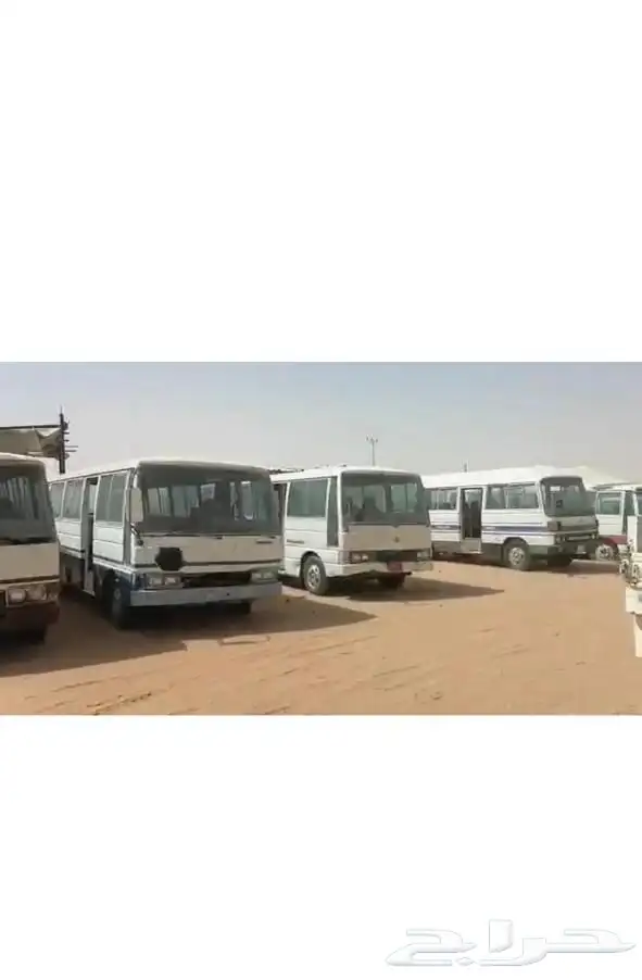 باصات مبيعات حكومية 25 و 30 راكب 4