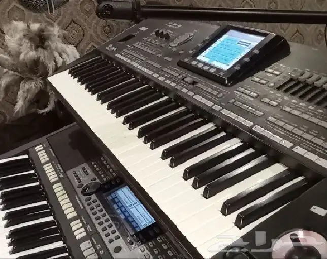 عازف أورق سعودي محترف لجميع الألوان خليجي شرقي دبكات 0