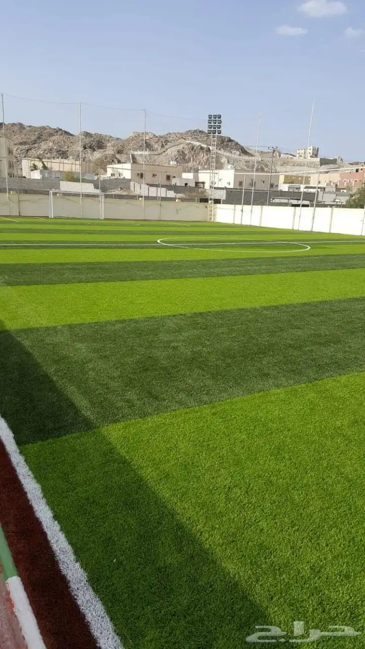 تنفيذ ملاعب العشب الصناعي ومكينة فرد العشب مكينة (SMG) 5