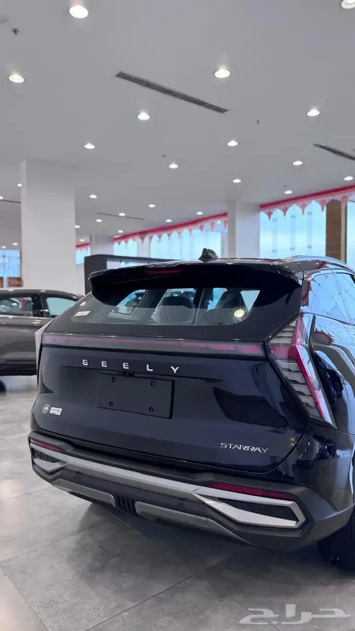 جيلي ستار راي ستاندر 2024 1