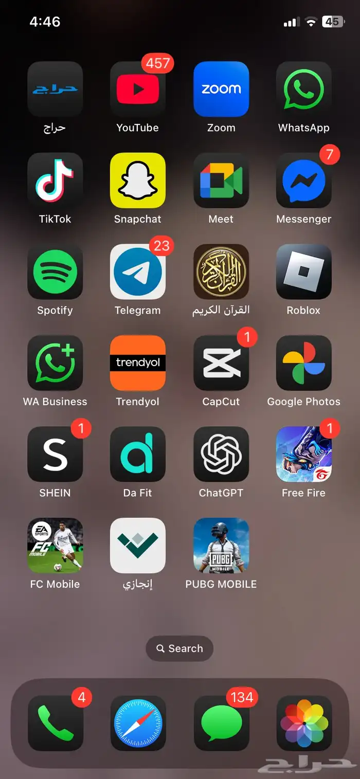 قطة أنثى للتبني بدون أغراض 2