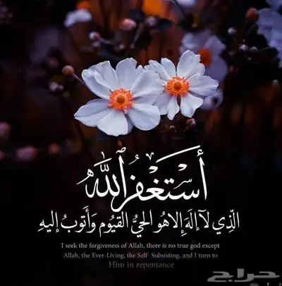 خدمه توصيل وذبح الذبائح وتسليمها 0