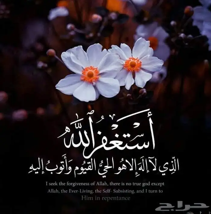 خدمه توصيل وذبح الذبائح وتسليمها 0