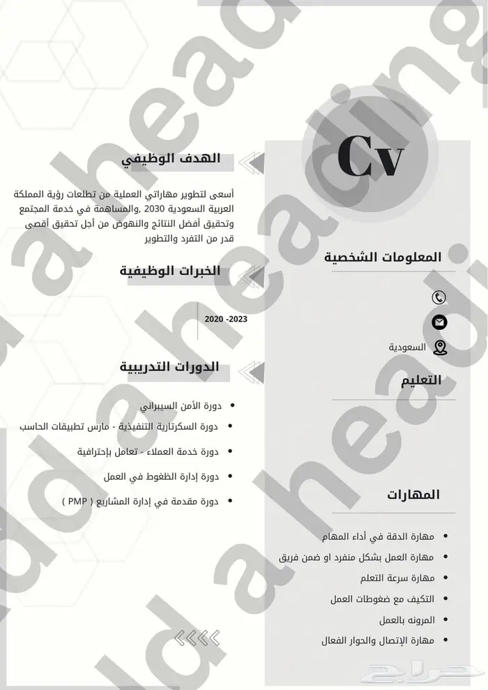 سيرة ذاتية 2