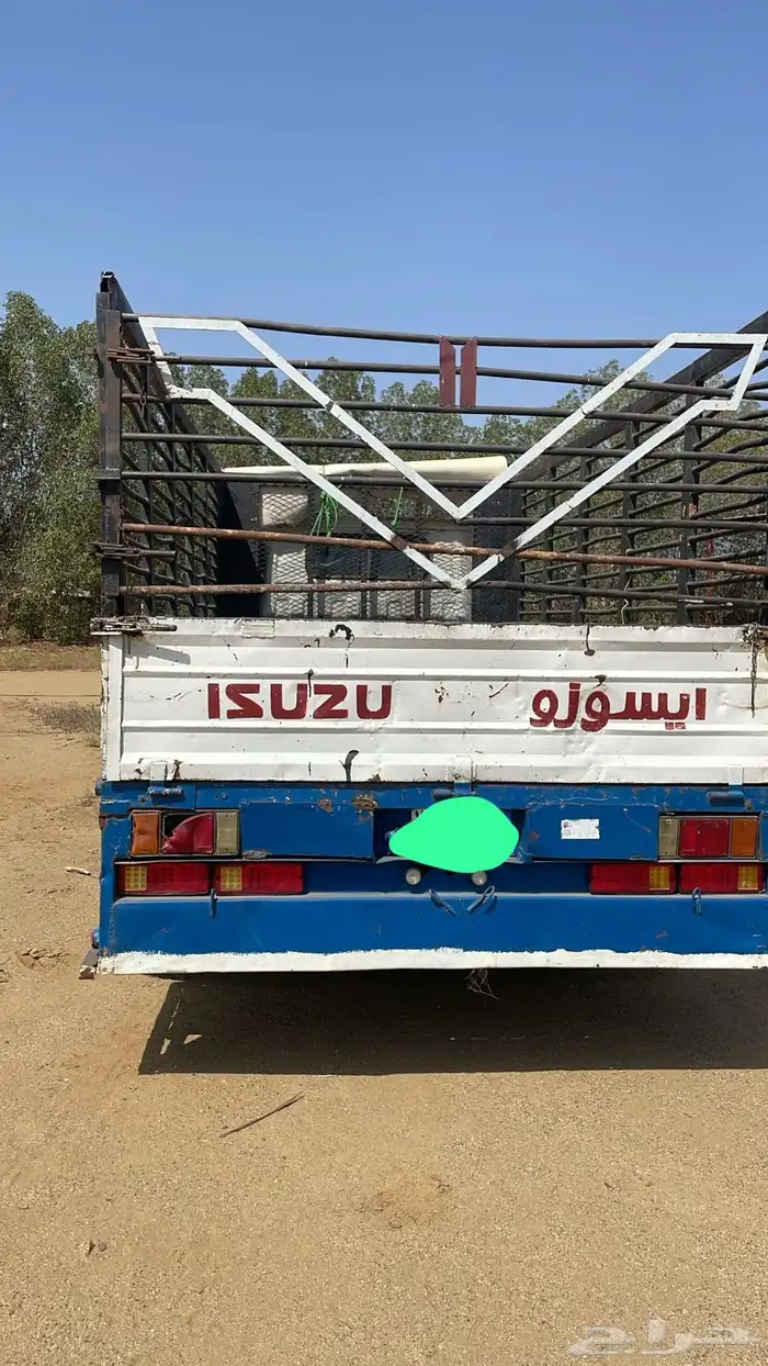 دينا ايسوزو 2006 3