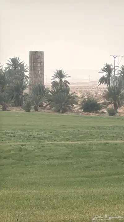مزرعه شمال الفويلق البيع قريييب.. 13