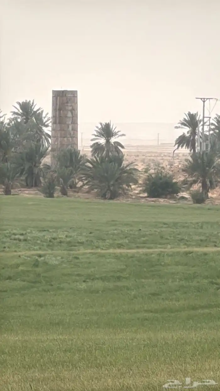 مزرعه شمال الفويلق للبيع 13