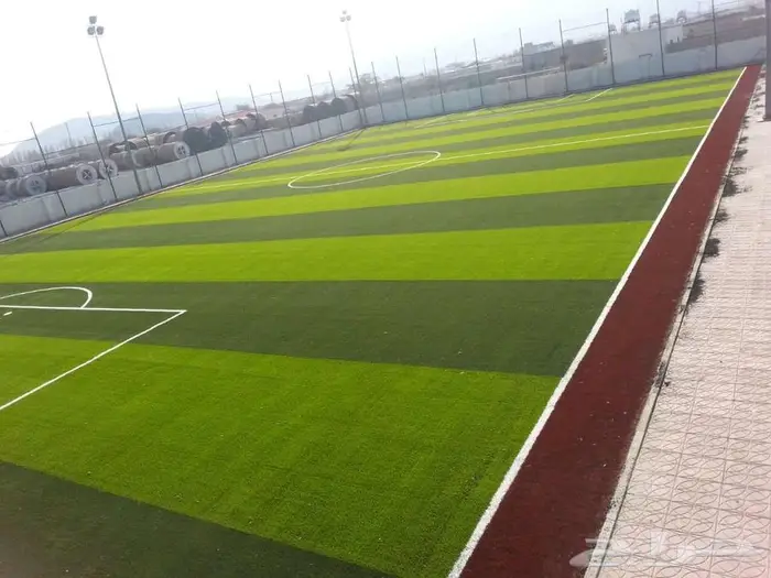 ثيل طبيعي ياباني انتورو سي ألفين فرنسي الظل عشب تجهيز ملاعب 12