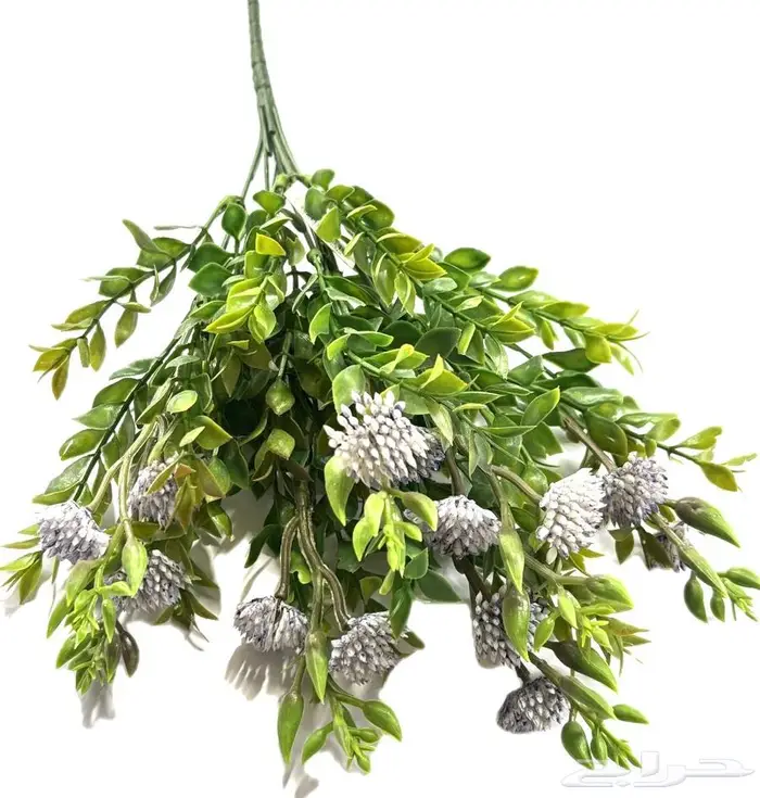 نباتات صناعية 1