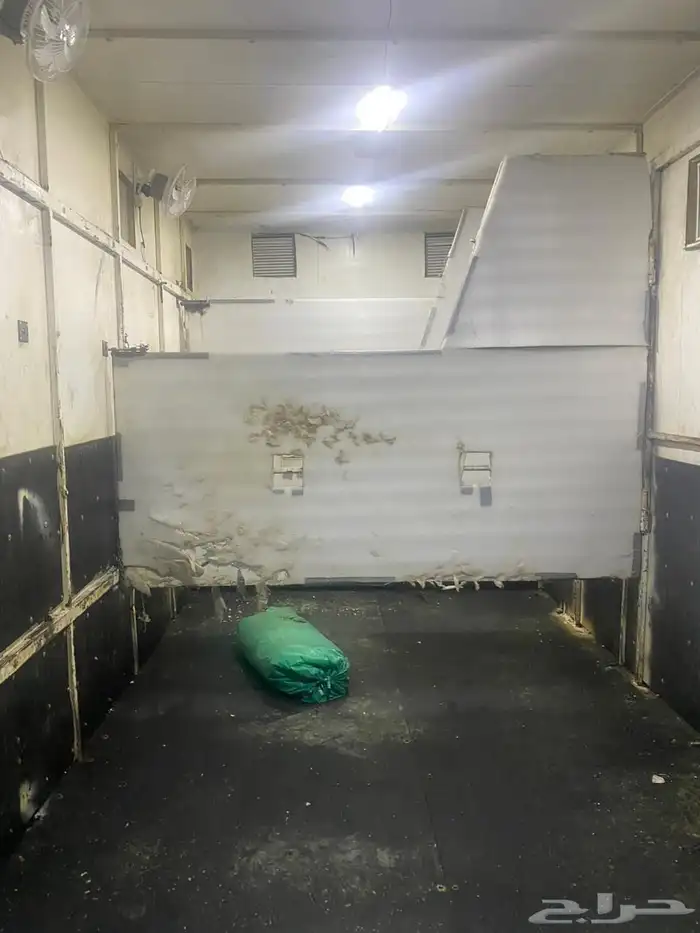 عربه نقل خيل صندوق 6 روس موديل حديث 5