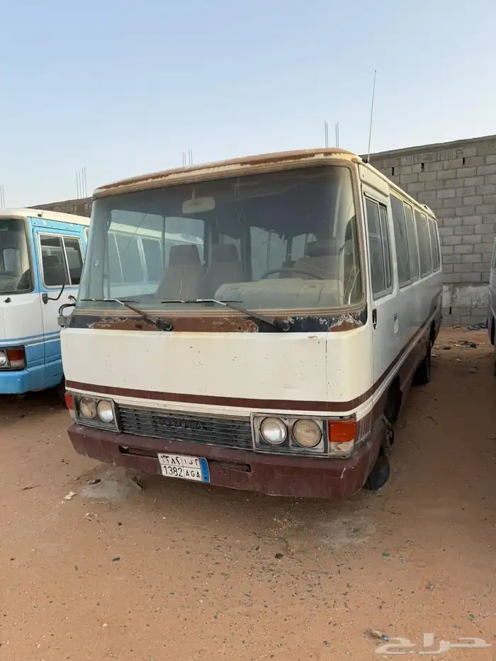 باصات مبيعات حكومية 25 و 30 راكب 0