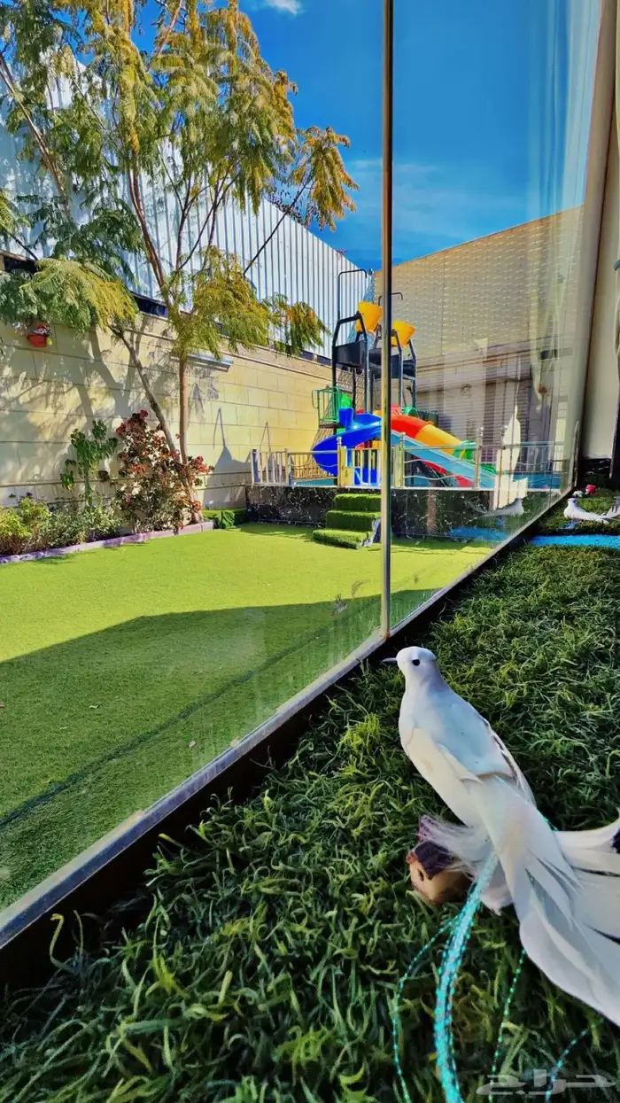 استراحة قسمين بمسبحين كبار وصغار وألعاب مائيه وملعب صابوني 27