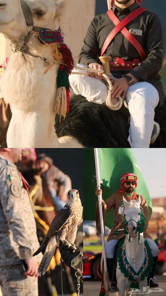 مصور محترف 2