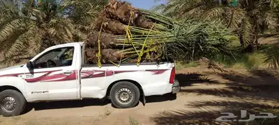 مجدول حوشانة شمشولة شهل شرازيه 1