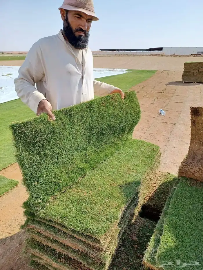 ثيل الخرج C2000 درجة أولى 6