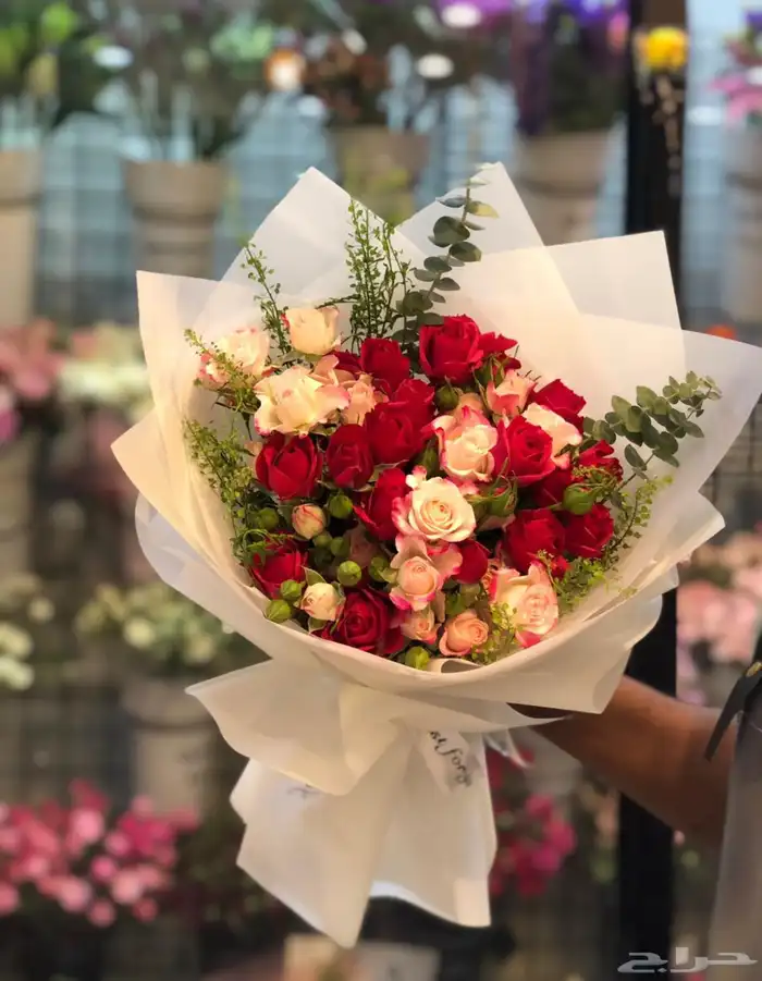 مندوب هدايا جدة 17