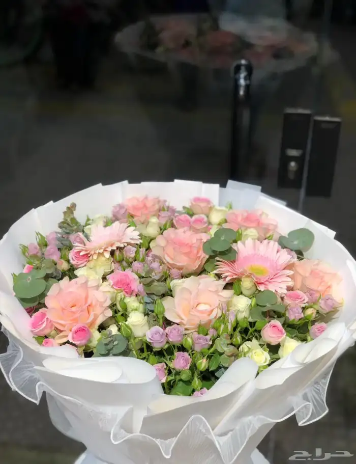 مندوب هدايا جدة 37