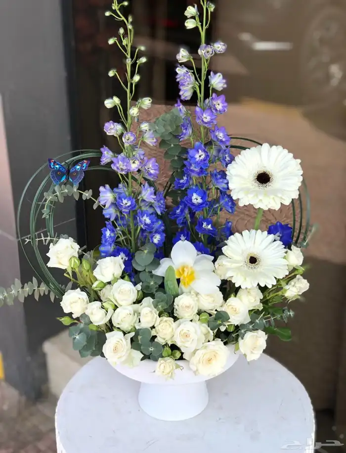 مندوب هدايا جدة 5