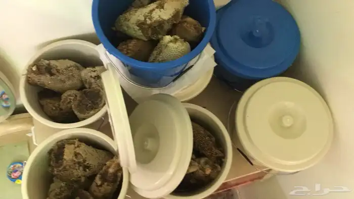 نجران الاثايبه طريق الأمير متعب 0