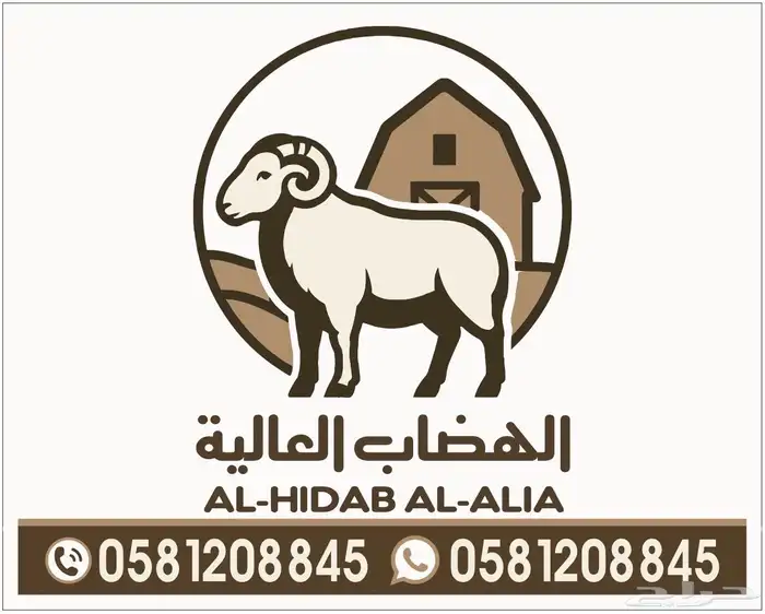 الهضاب العاليه لبيع الذبايح 6