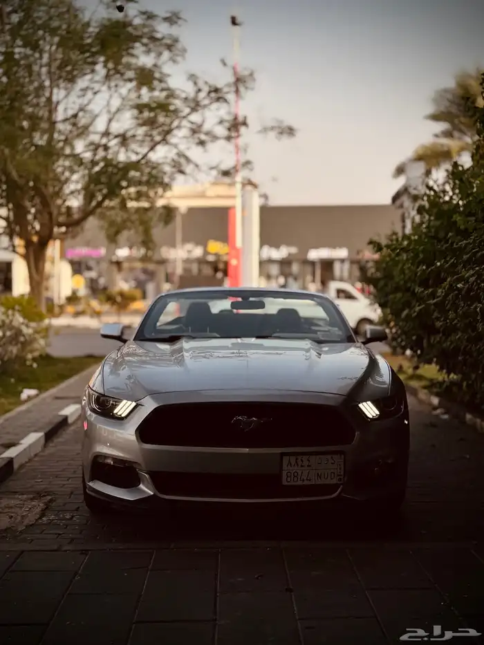 موستنج 2016 1