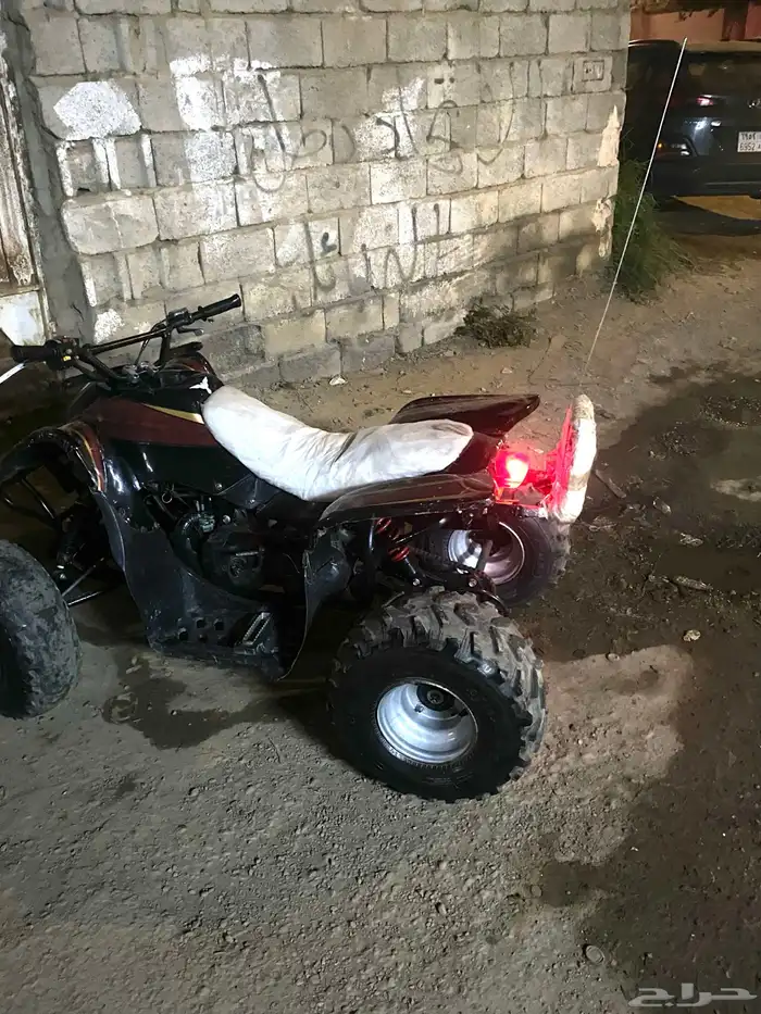 دباب سويدي للبيع الصاما يجي خاص يتواصل معي اوريه بمقاطع. 6