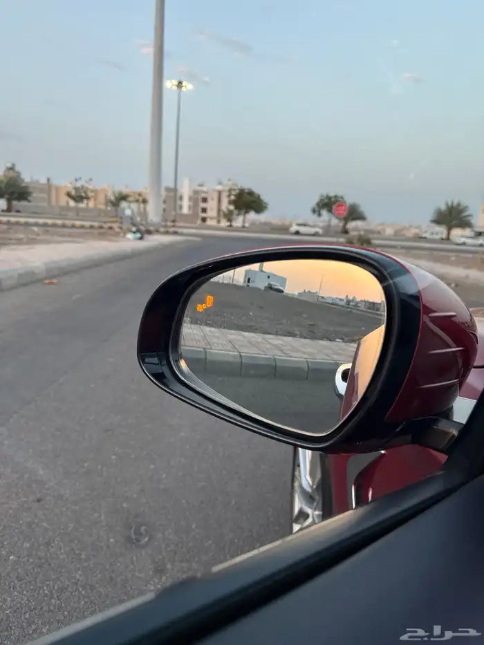 تم البيع الله يبارك للمشتري 14