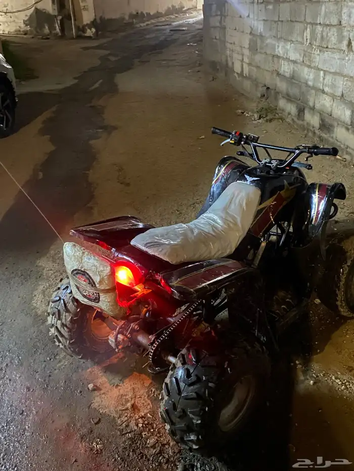 دباب سويدي للبيع الصاما يجي خاص يتواصل معي اوريه بمقاطع. 2