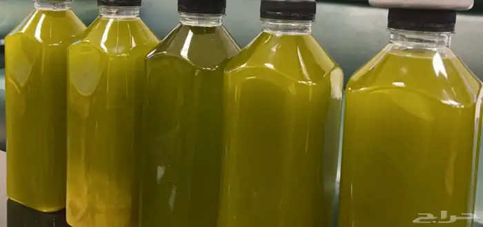 للبيع زيت زيتون بكر عصرة أولى من مزارع الأردن 3