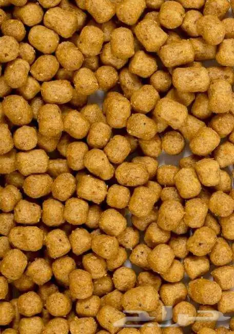 غذاء سيتاكوس يومي للطيور المتوسطة والكبيره 1