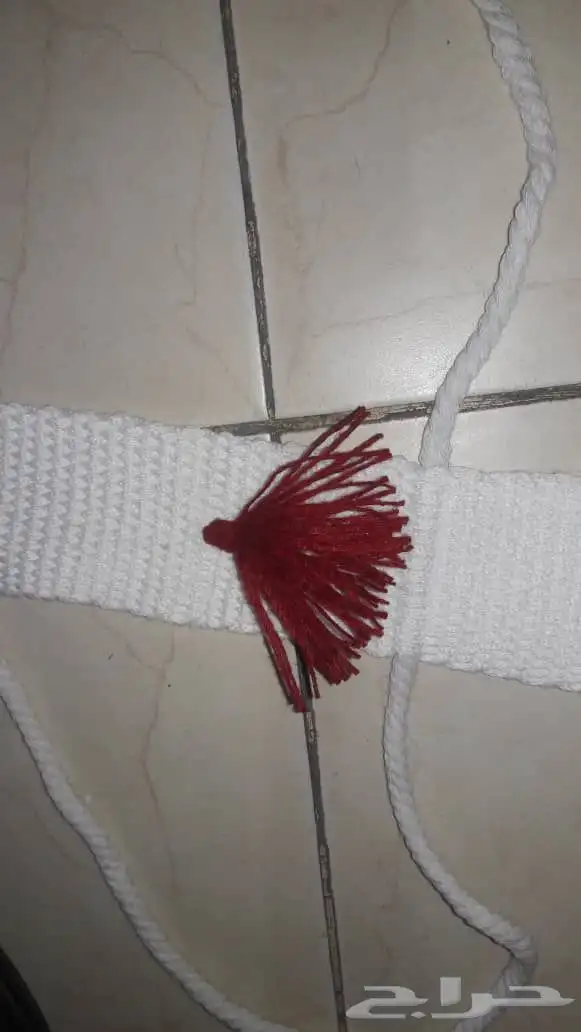 جنايب إبل ومستلزمات جملة 8