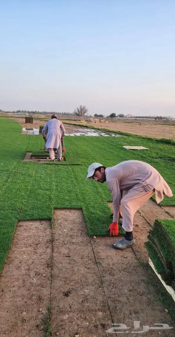 ثيل الخرج C2000 درجة أولى 4