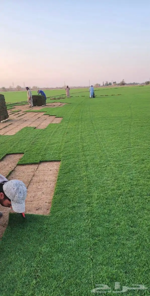 ثيل الخرج C2000 درجة أولى 2