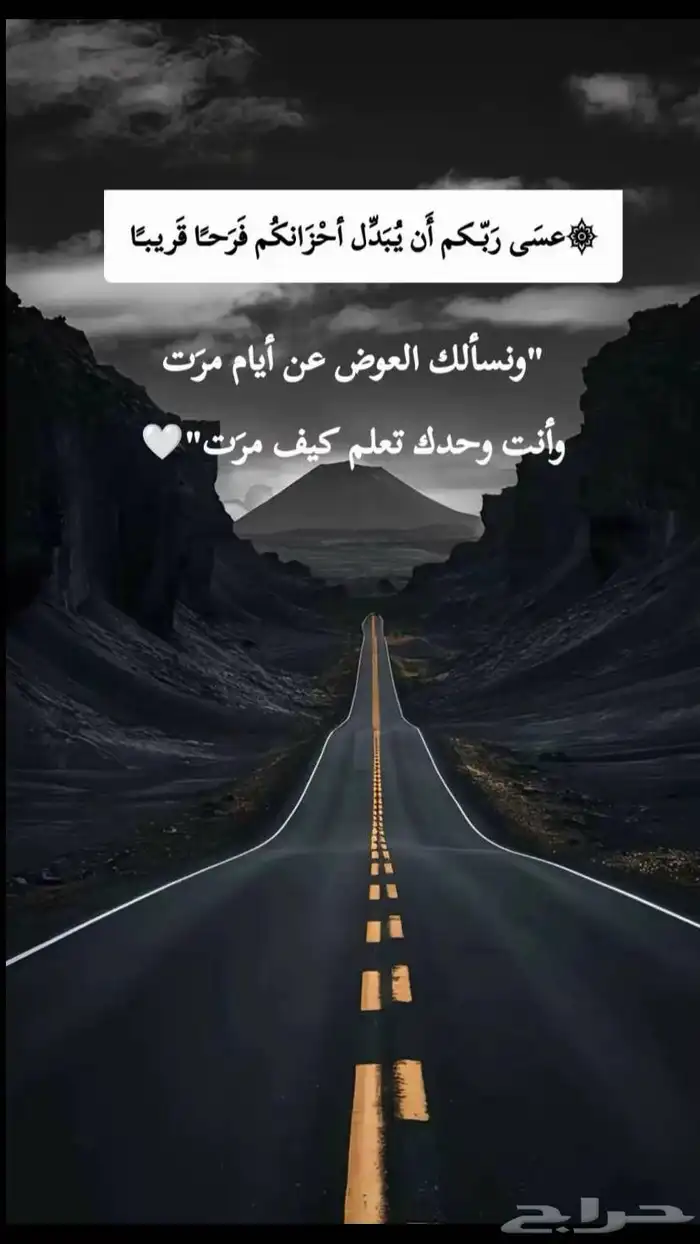 توريد بطحا وتربه زراعيه 19