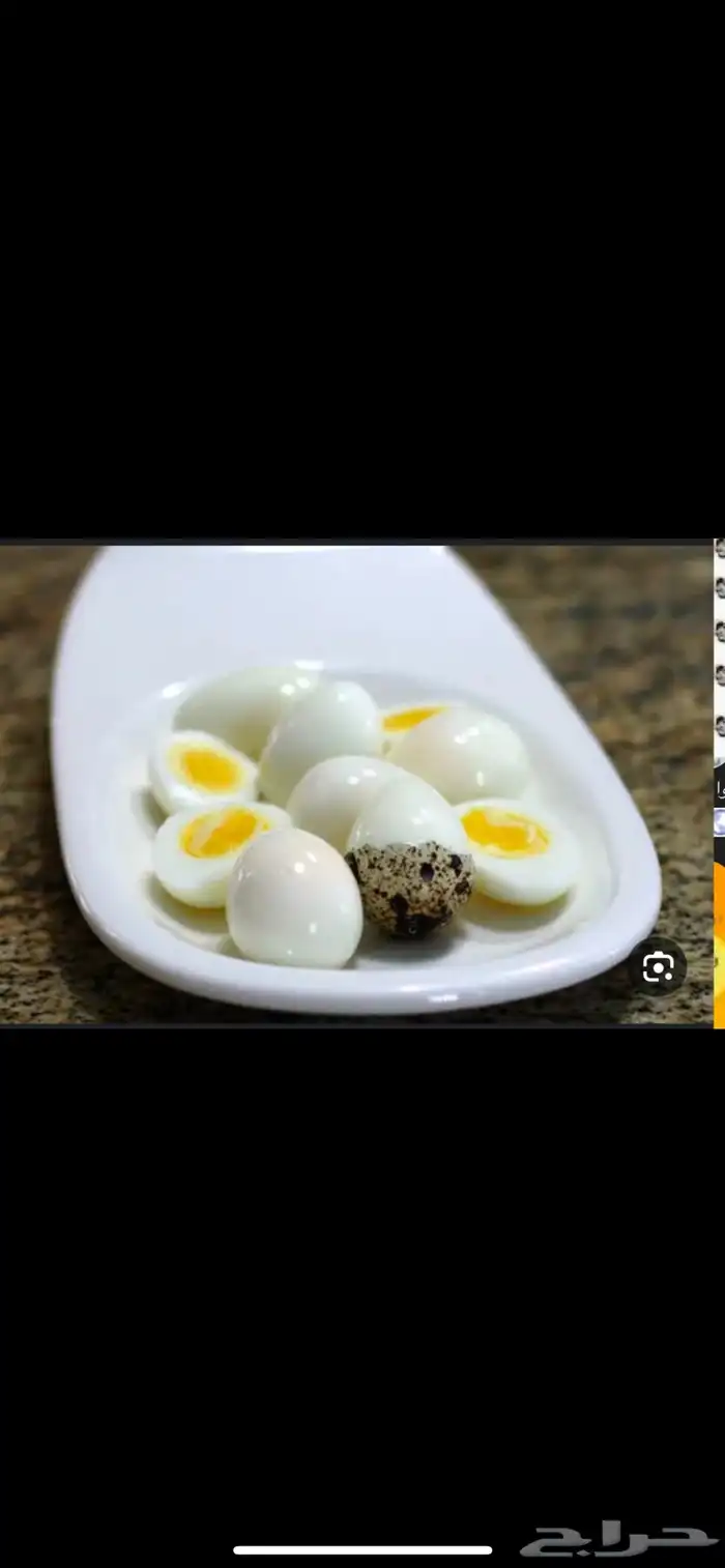 سمان فري مريعي بياض و ذبح تربيه و بيض بلدي 7
