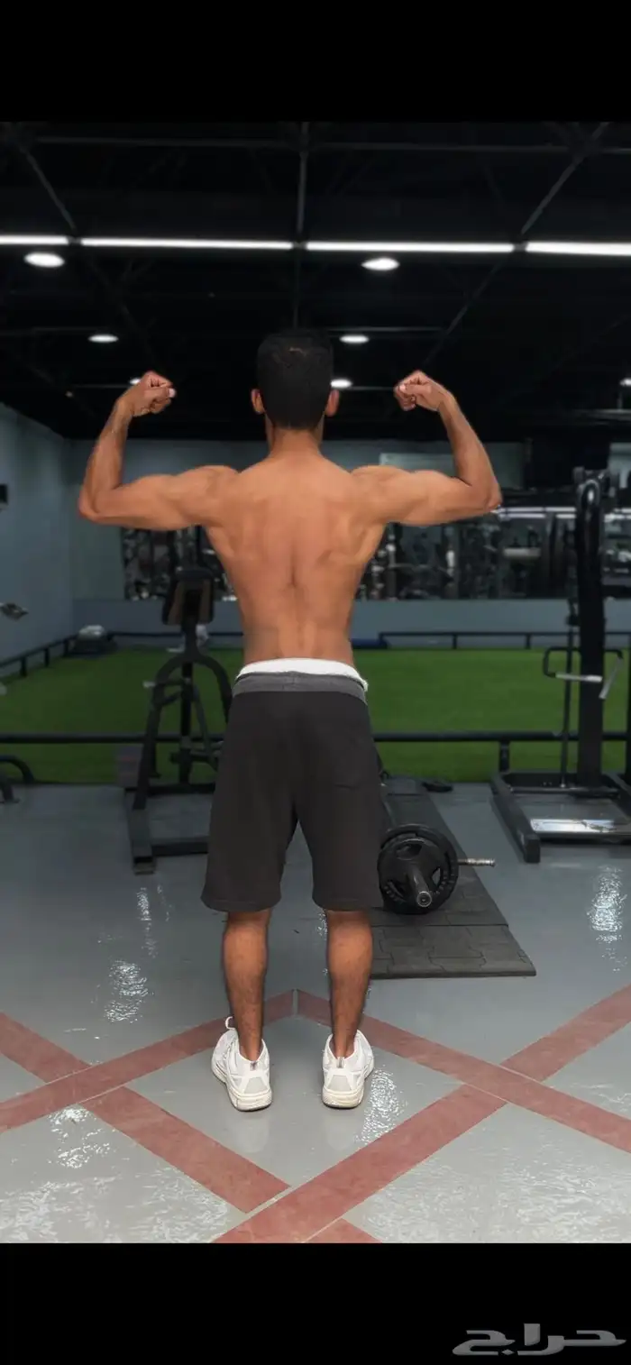 جدول تدريب و برنامج غذائي بمبلغ رمزي 0