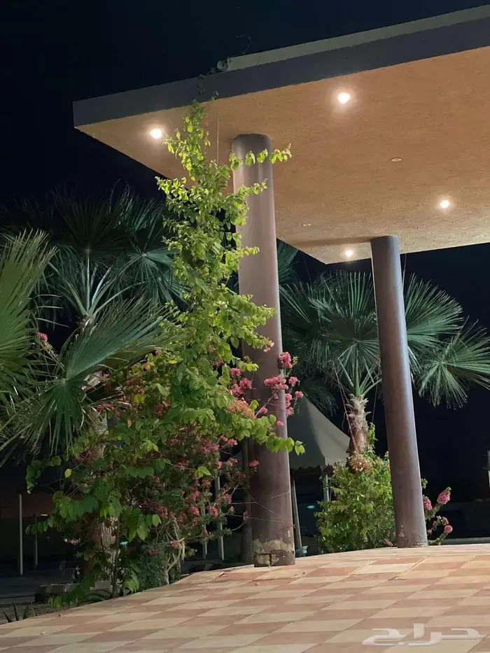 منتجع شمال بريدة للبيع 5