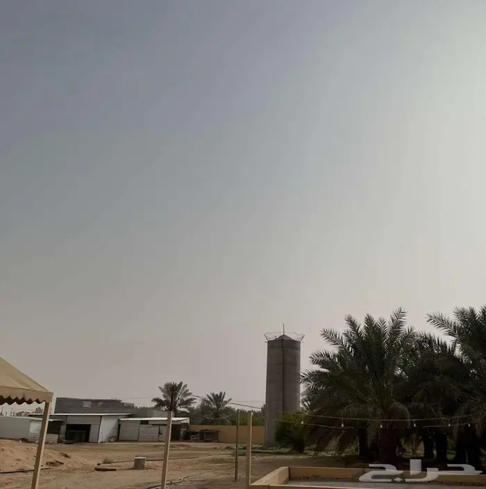 منتجع شمال بريدة للبيع 4