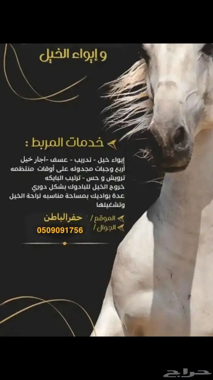 اجار خيل. 0