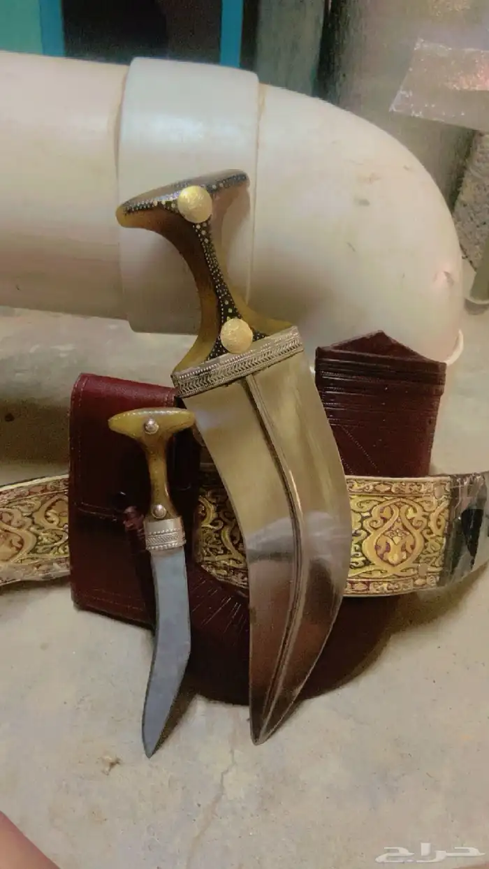 جنبيه وتر شبيهة زراف 2