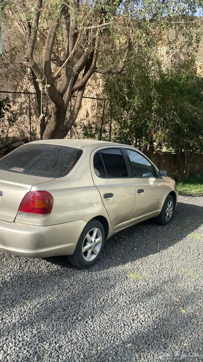 ايكو 2005 8