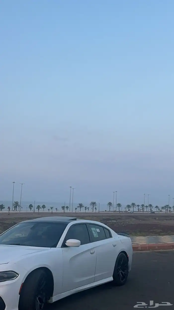 دوج 2020 6