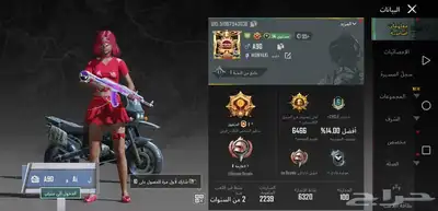 حساب ببجي 48