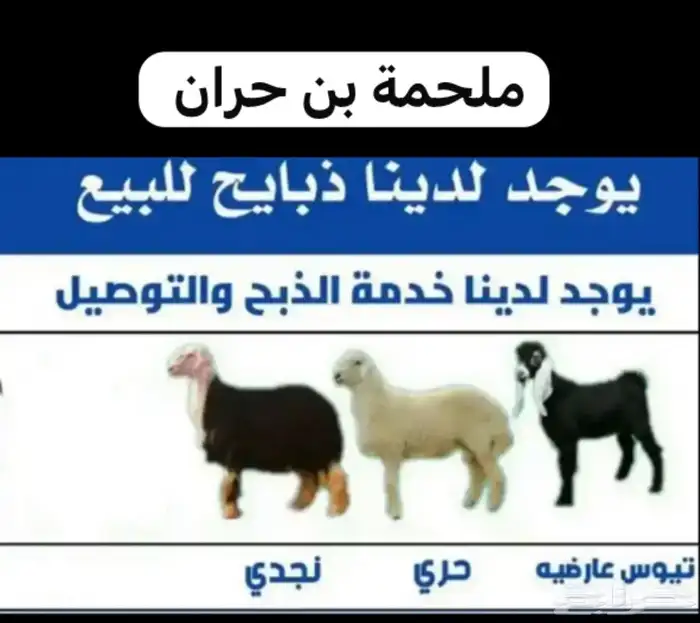 ملحمة لفة الرديف للحوم الطازجة 3